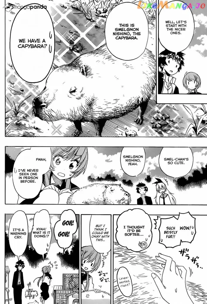 Nisekoi Chapter 142 image 07_optimized